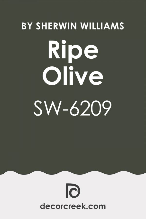 Ripe Olive Sw Paint Color By Sherwin Williams