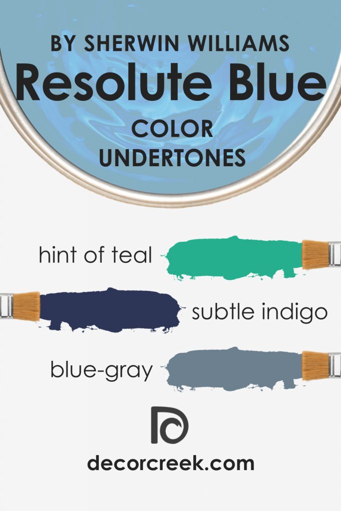 Resolute Blue SW 6507 Paint Color By Sherwin Williams