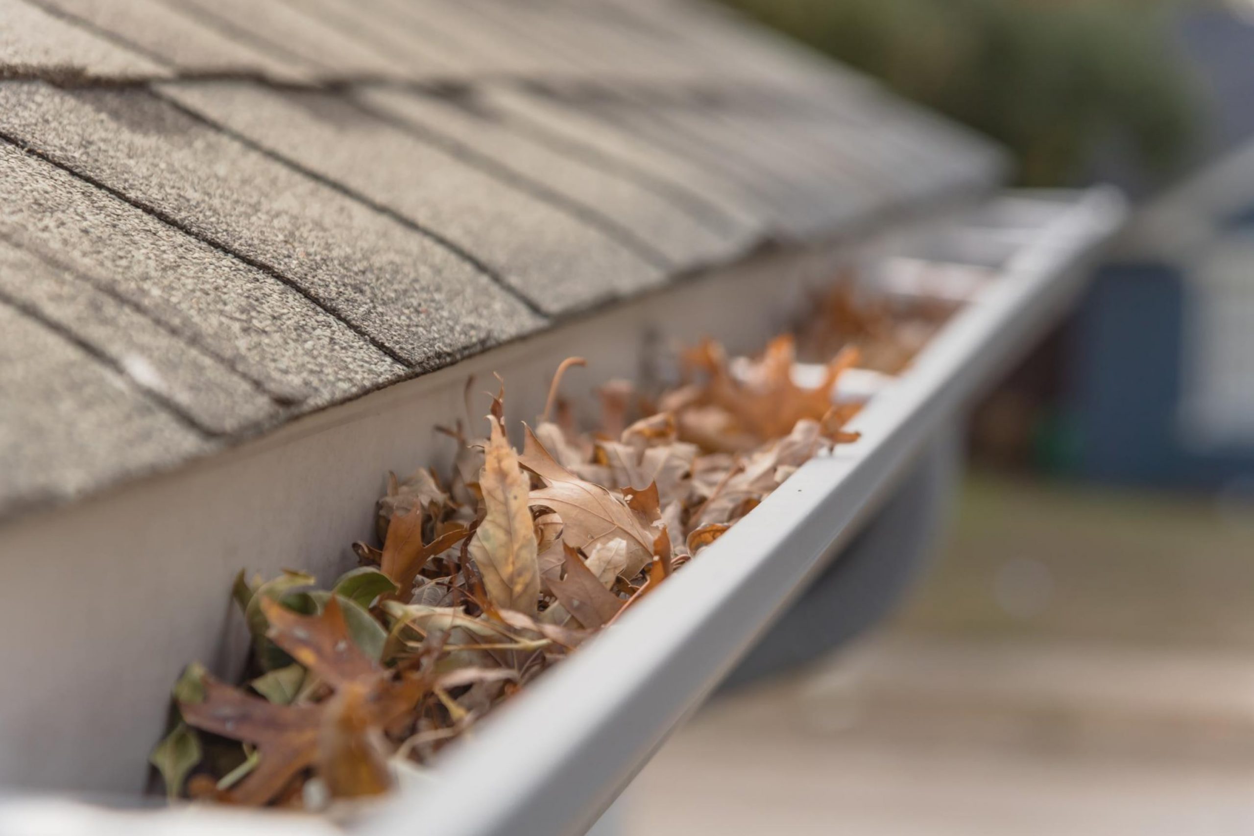 How to Remove Leaves from Gutters?
