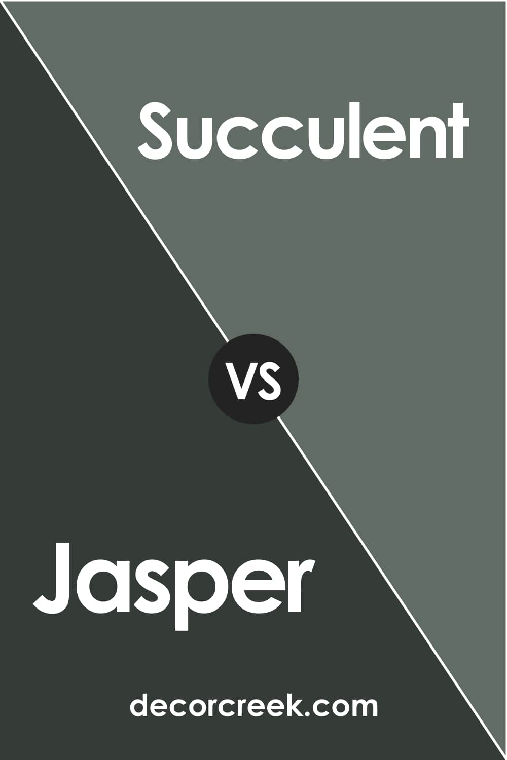 Jasper vs Succulent