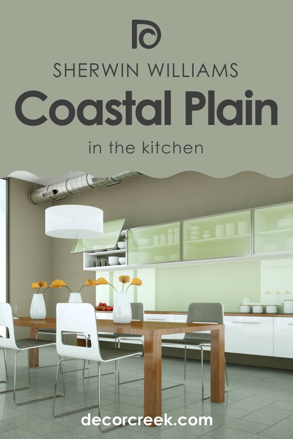 Coastal Plain SW-6192 for the Kitchen