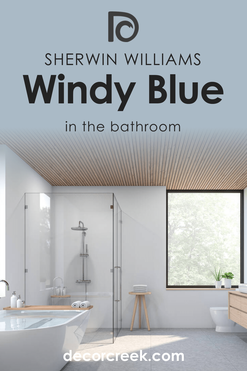 Bathroom and Windy Blue SW-6240