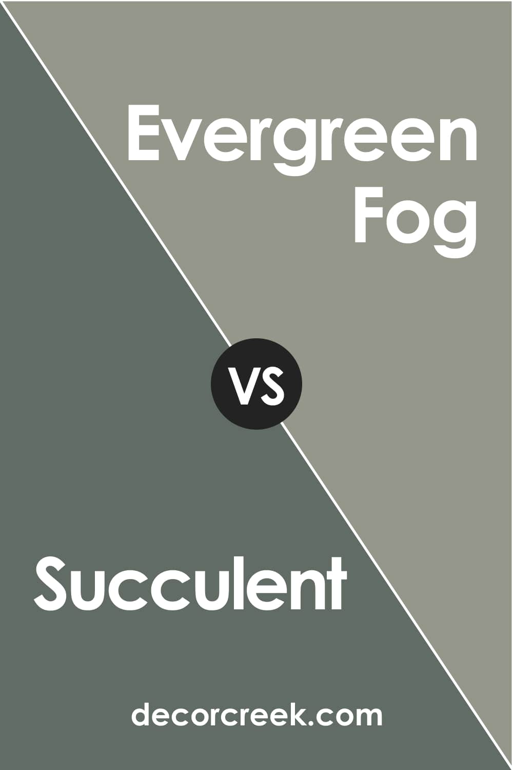 Succulent vs Evergreen Fog