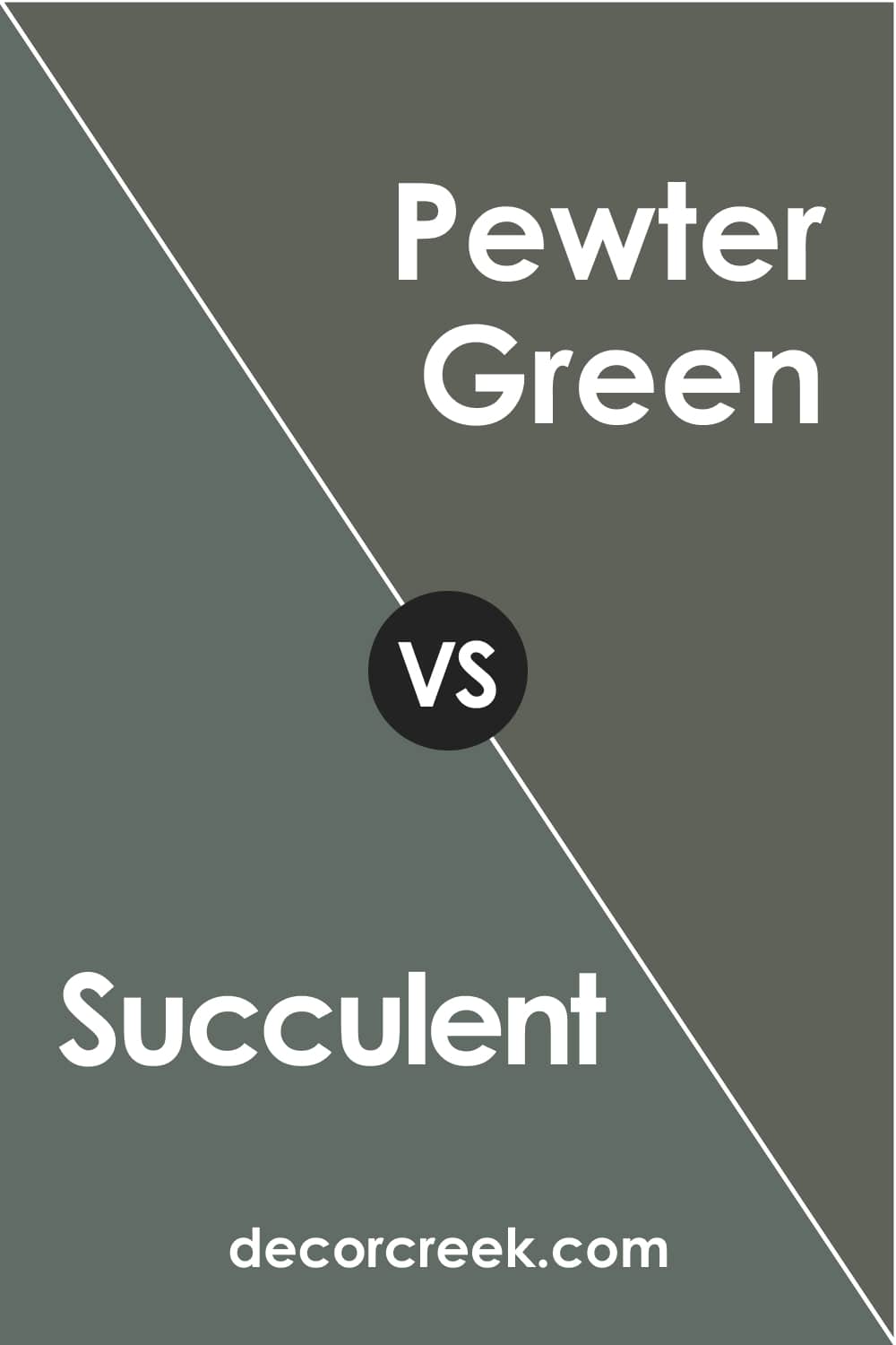 Succulent vs Pewter Green