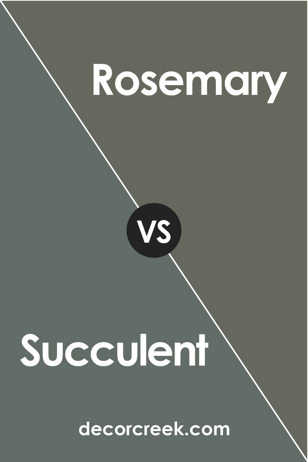 Succulent vs Rosemary