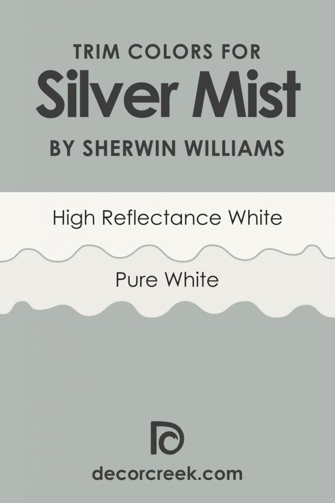 Silver Mist SW-7621 Paint Color by Sherwin-Williams