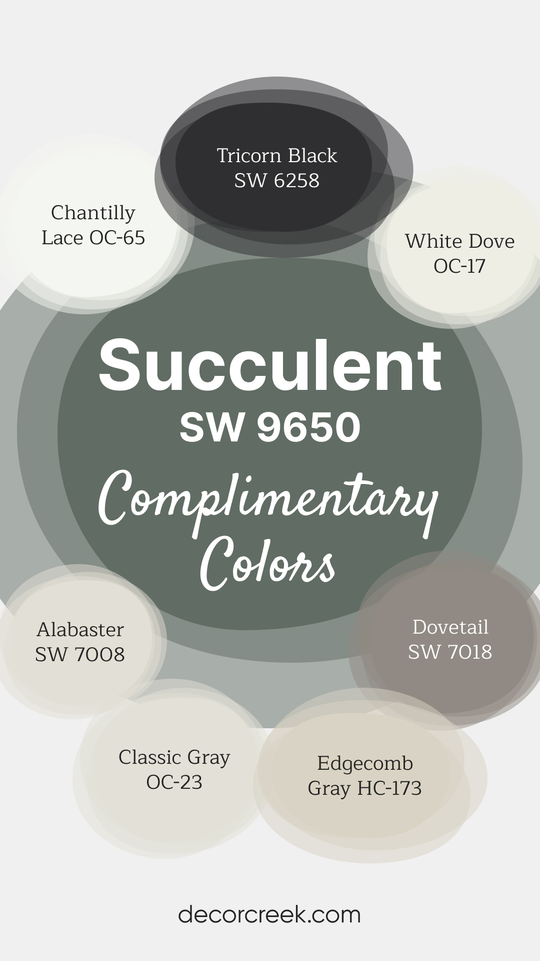 Complimentary Colors for Succulent Paint Color SW-9650 By Sherwin-Williams