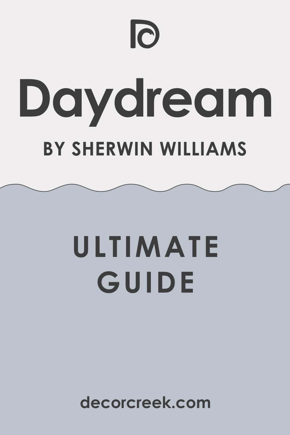 Ultimate Guide of Daydream SW-6541 