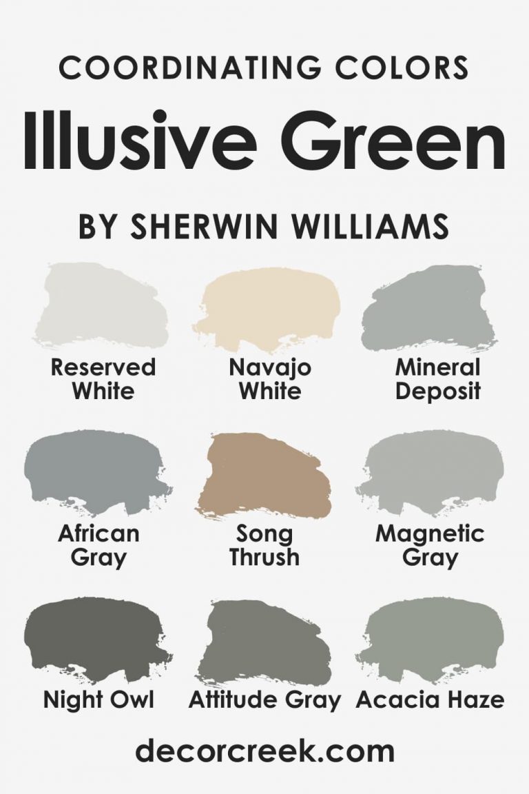 Illusive Green SW-9164 Paint Color by Sherwin-Williams