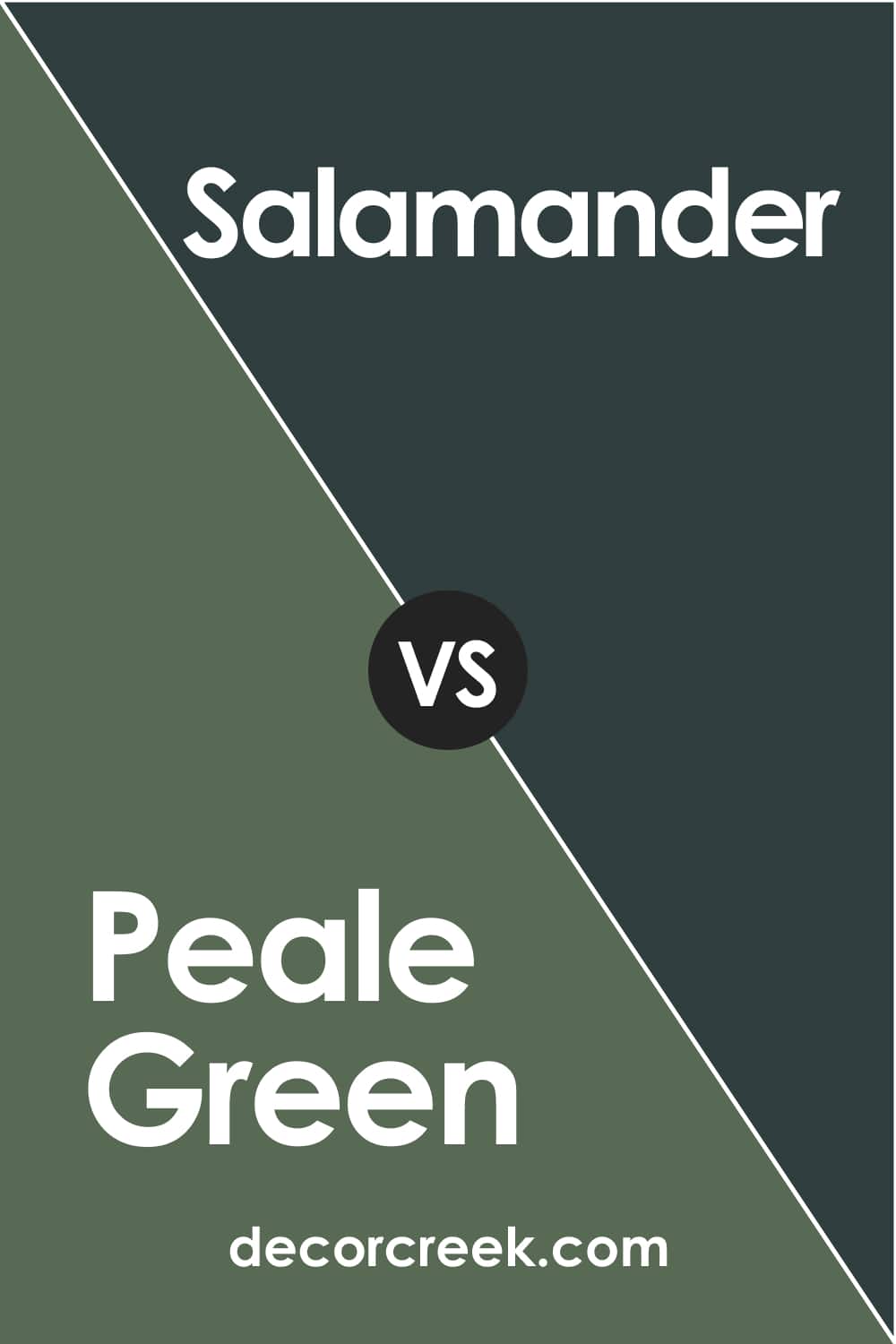 Peale Green vs Salamander