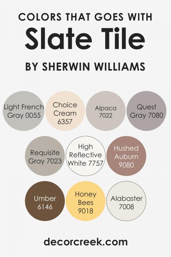 Slate Tile SW-7624 Paint Color by Sherwin-Williams