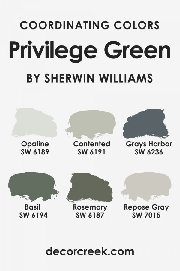 Privilege Green SW 6193 Paint Color by Sherwin-Williams