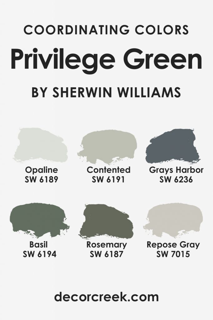 Privilege Green SW 6193 Paint Color by SherwinWilliams
