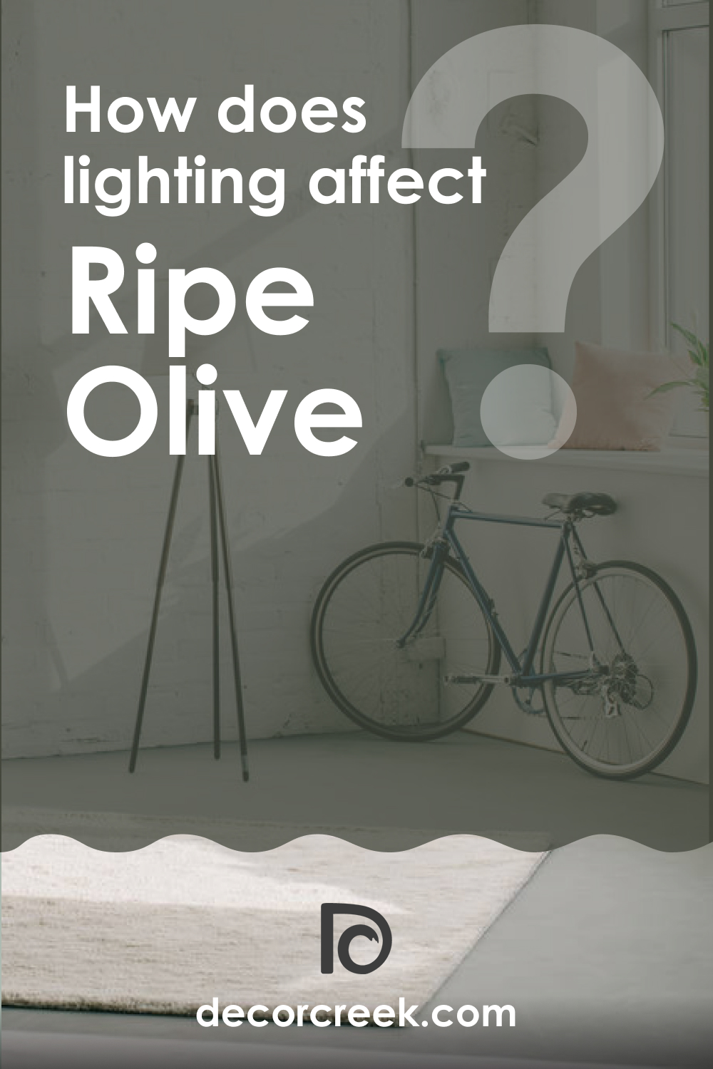 Lighting of SW Ripe Olive 