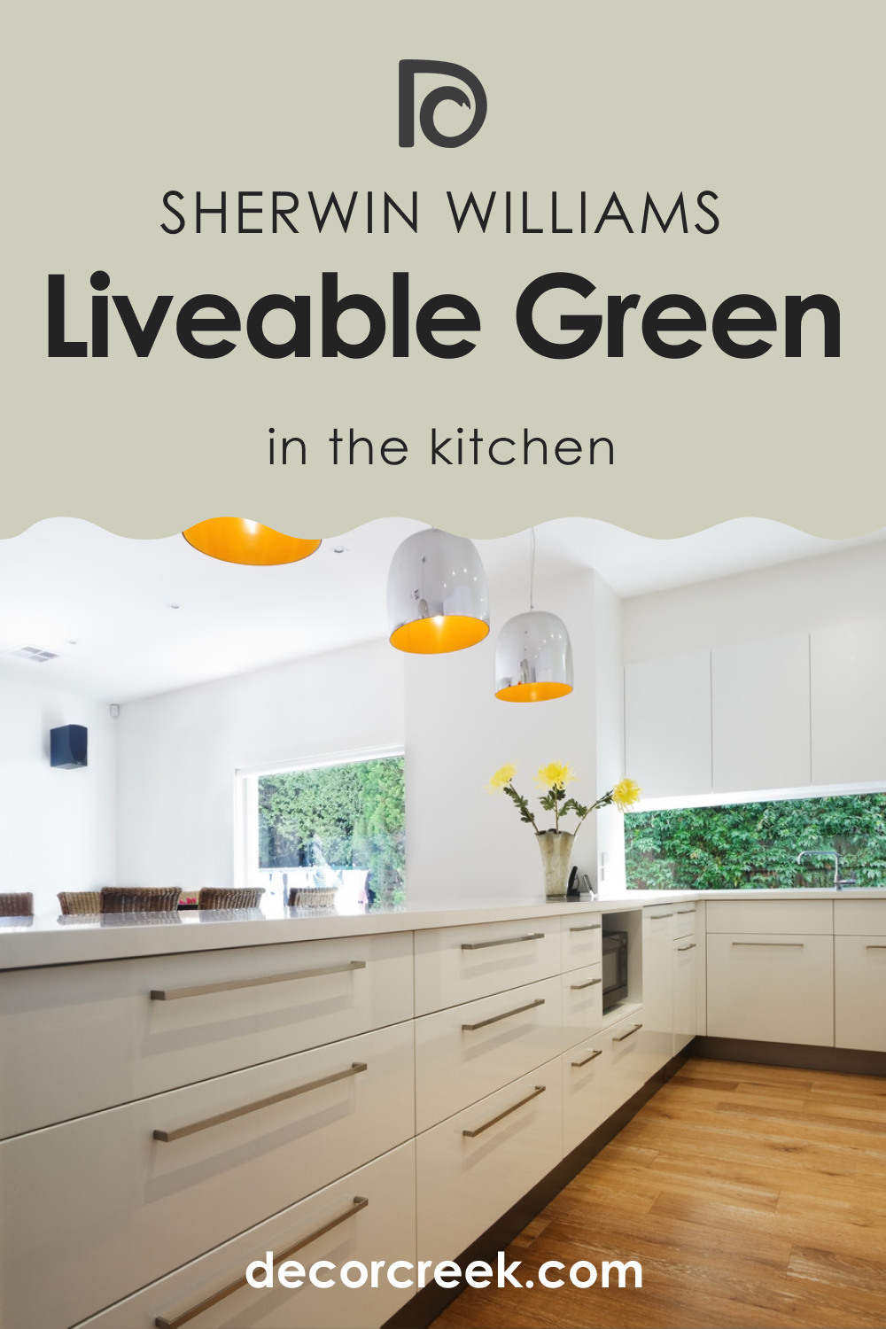 Liveable Green SW 6176 and Kitchen