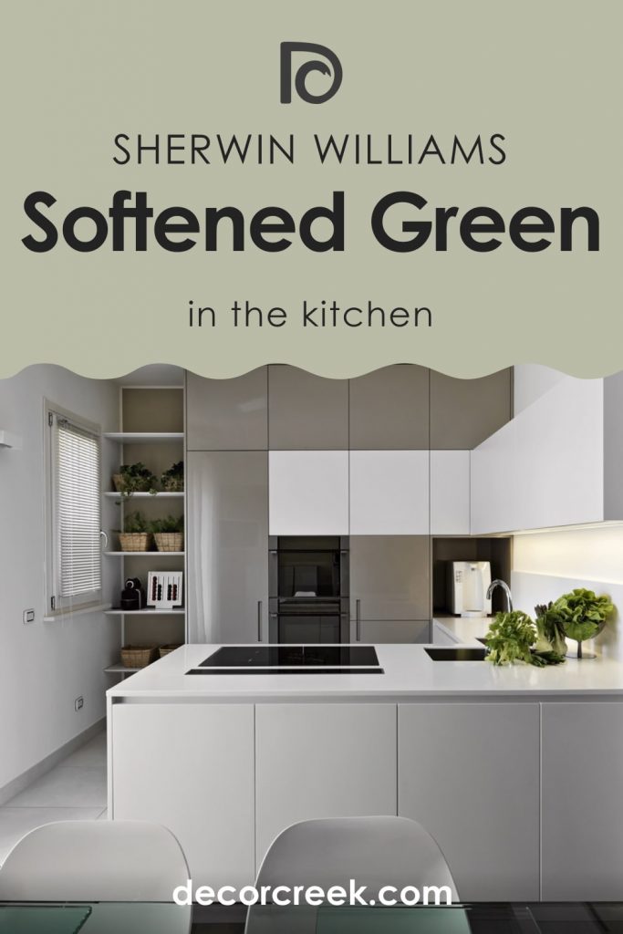 Softened Green SW-6177 Paint Color by Sherwin-Williams