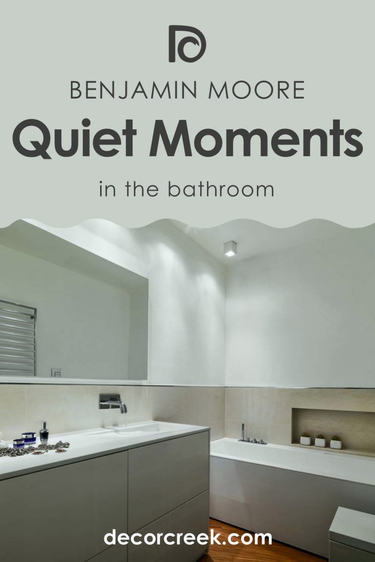 Quiet Moments BM 1563 Paint Color by Benjamin Moore DecorCreek