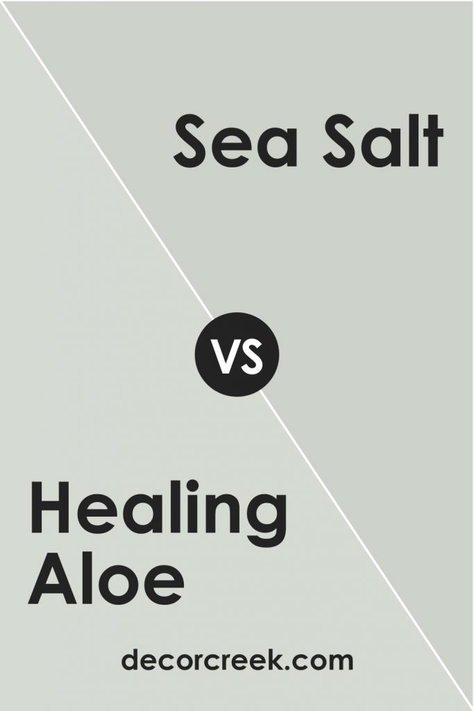 Healing Aloe BM 1562 Paint Color by Benjamin Moore