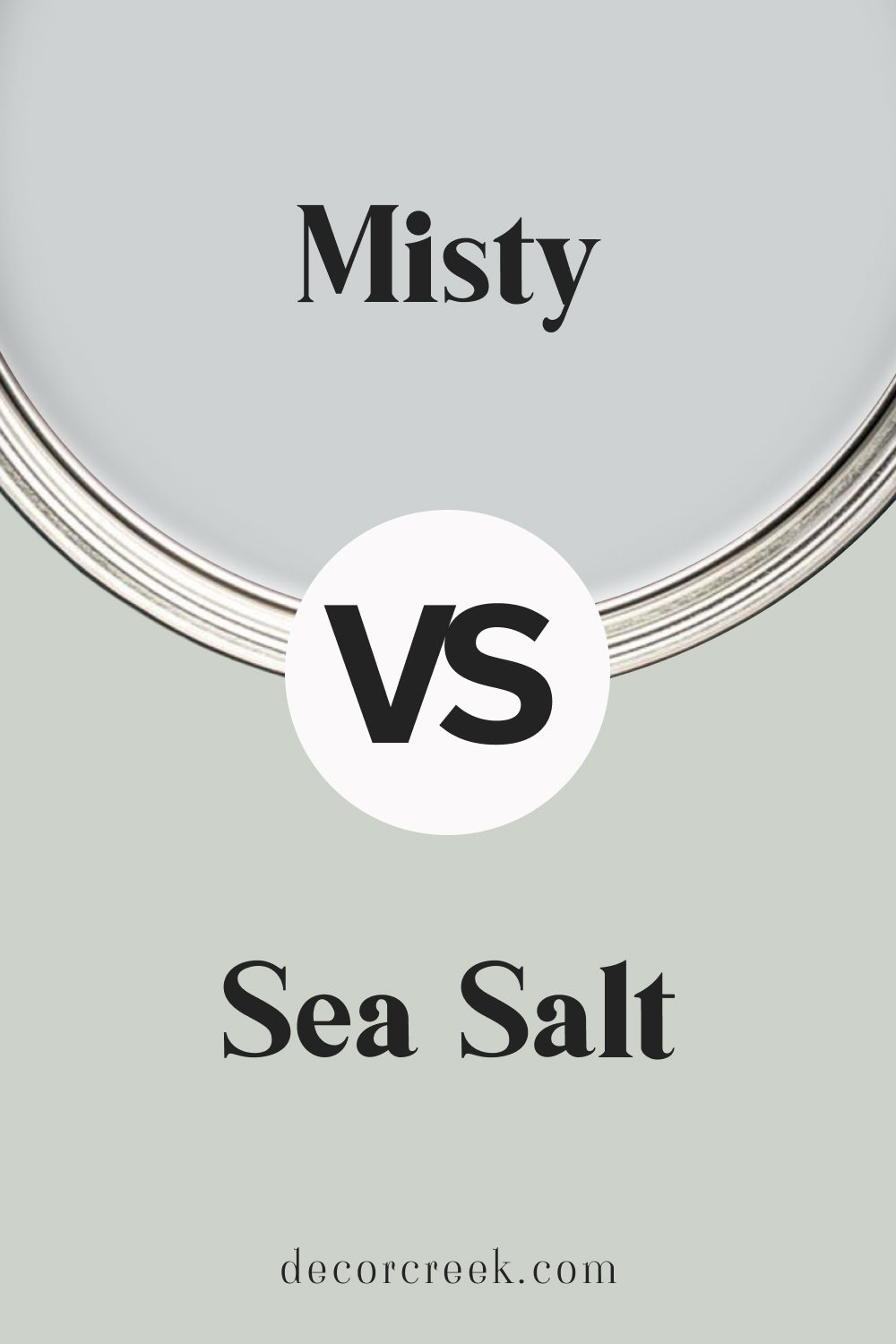 Misty SW 6232 vs Sea Salt SW 6204 by Sherwin Williams