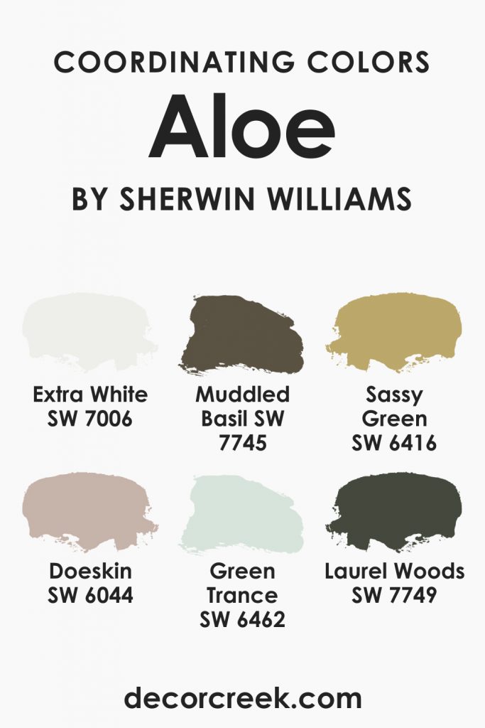 Aloe SW 6464 Paint Color by Sherwin-Williams - DecorCreek