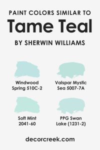 Tame Teal SW 6757 Paint Color by Sherwin-Williams