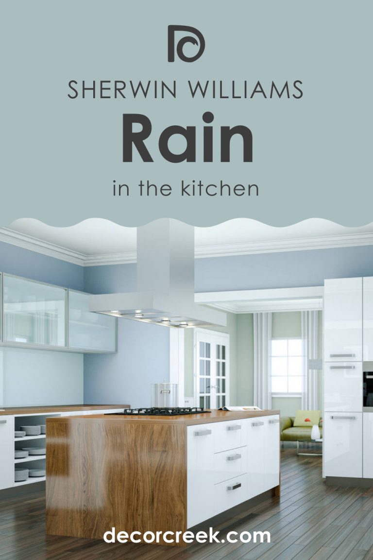 Rain SW 6219 Paint Color by Sherwin-Williams - DecorCreek