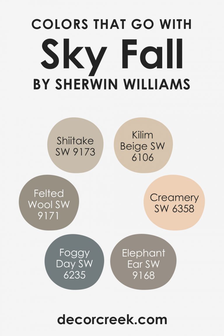 Sky Fall SW 9049 Paint Color by Sherwin-Williams