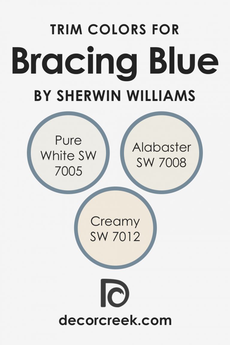 Bracing Blue SW 6242 Paint Color by Sherwin-Williams - DecorCreek