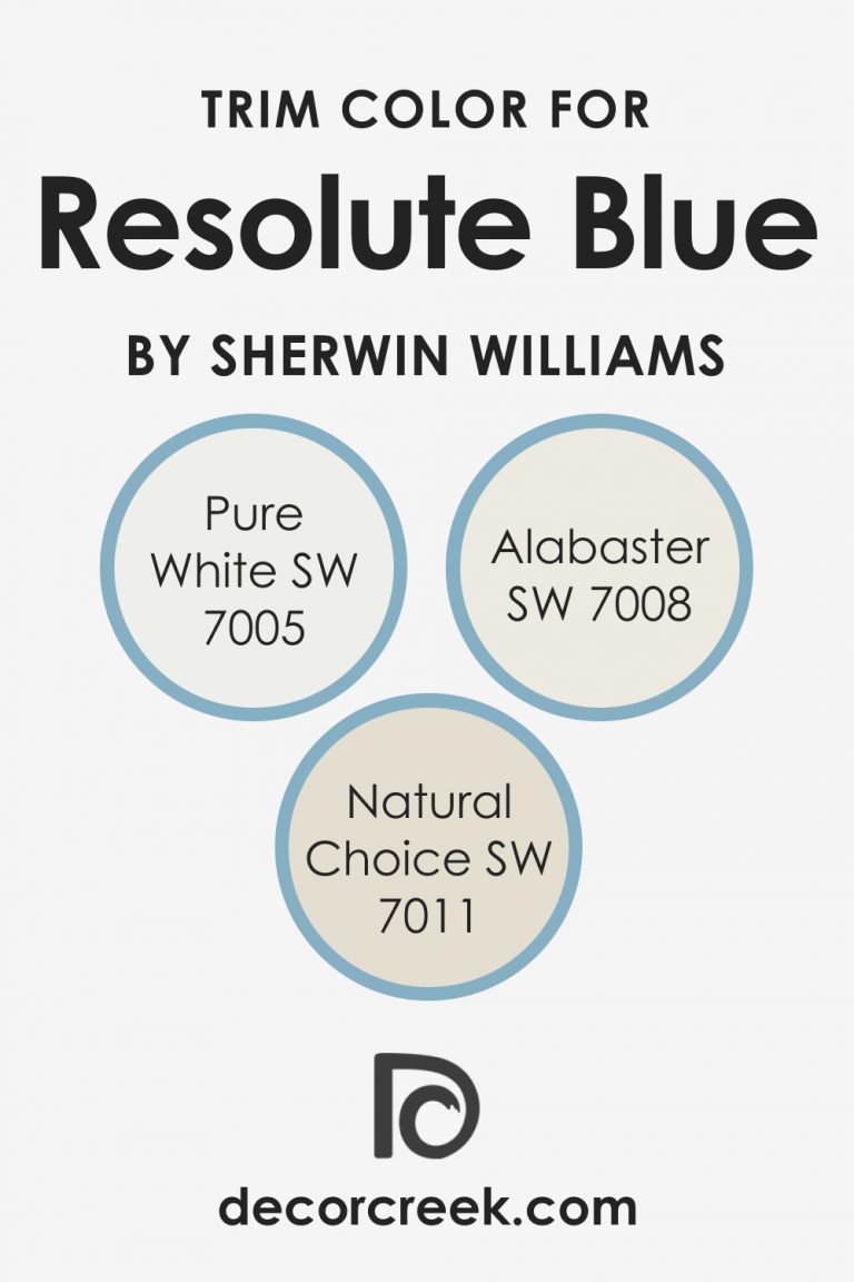 Resolute Blue SW 6507 Paint Color by Sherwin-Williams