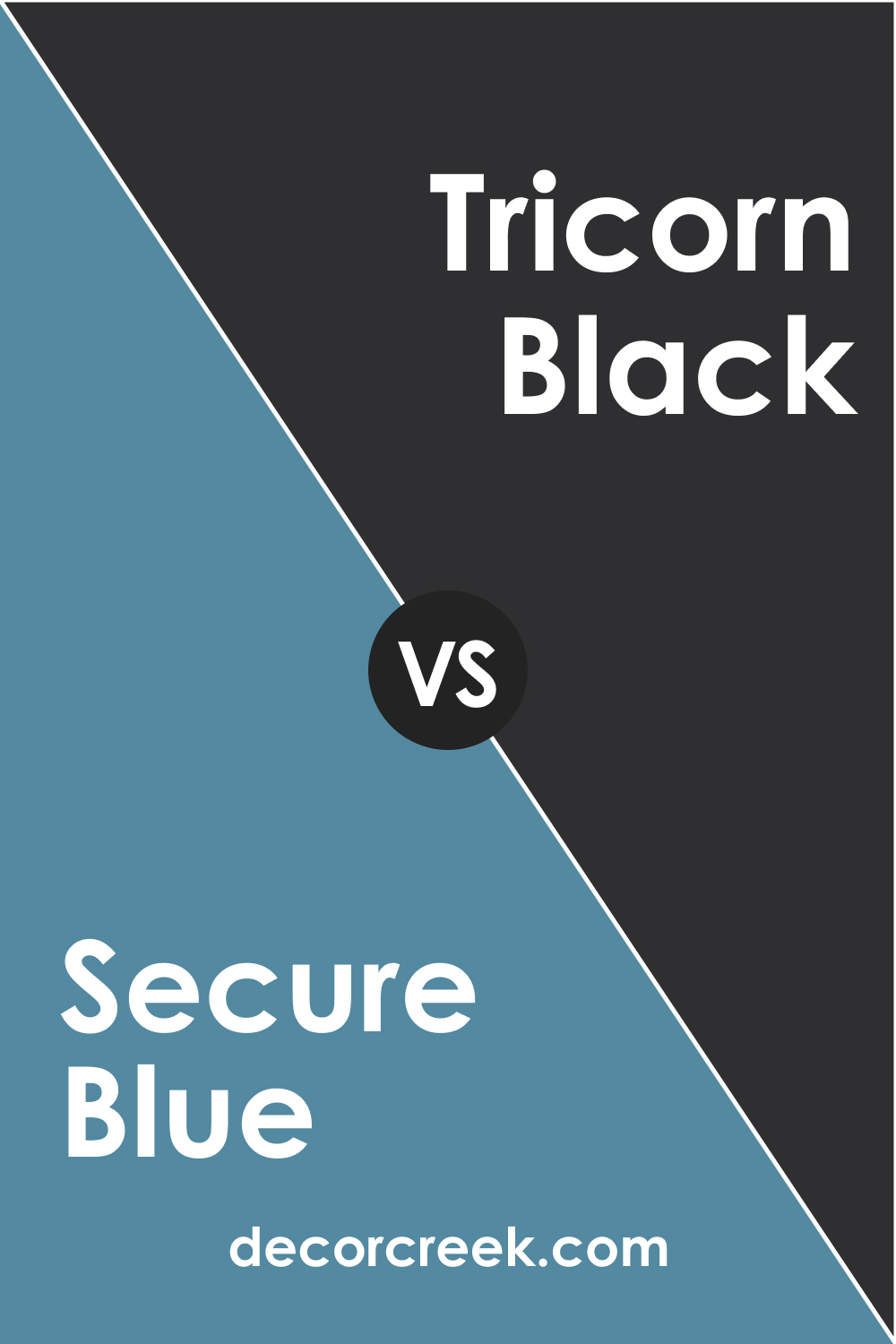 Secure Blue SW 6508 and SW 6258 Tricorn Black