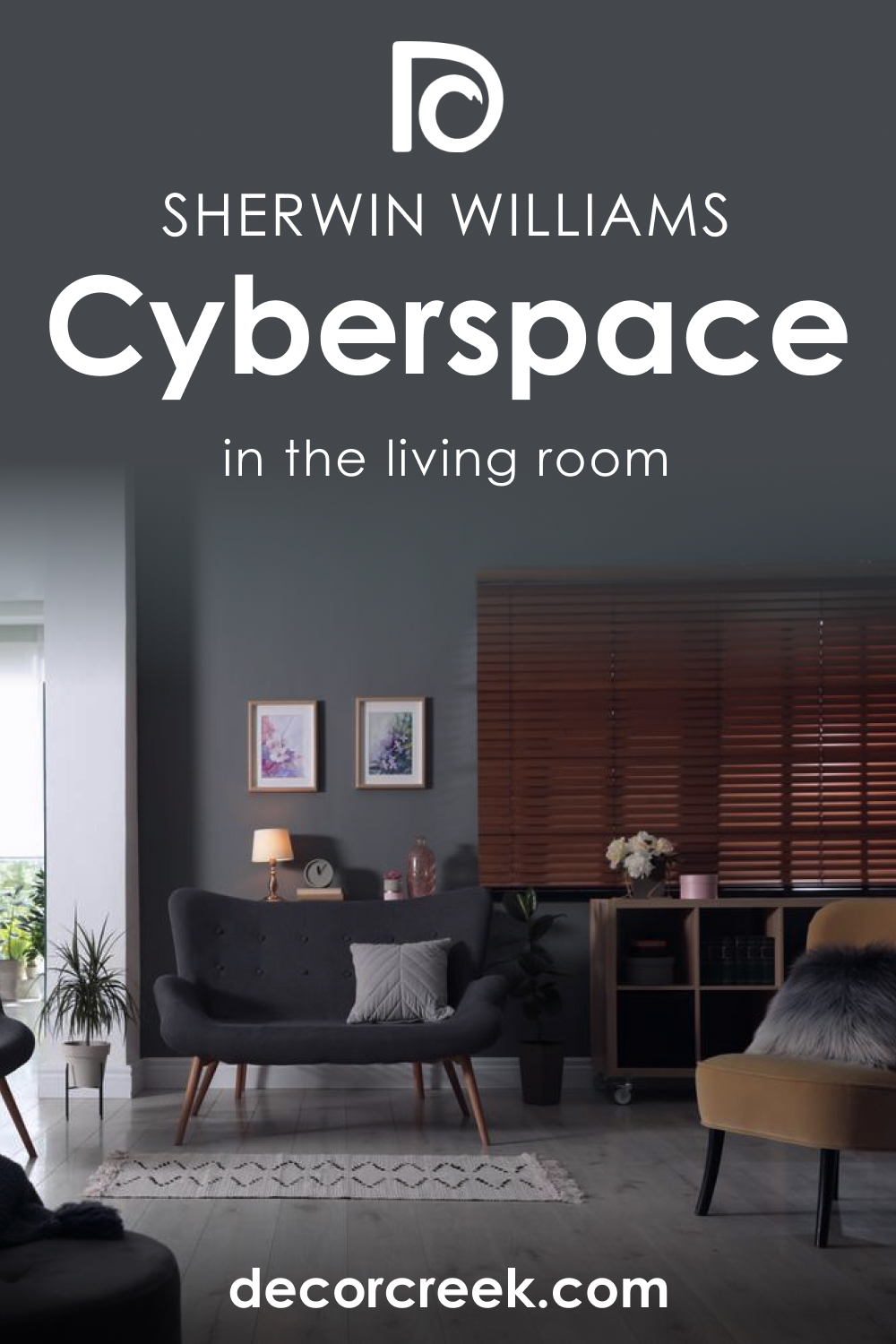 How to Use SW 7076 Cyberspace in the Living Room?