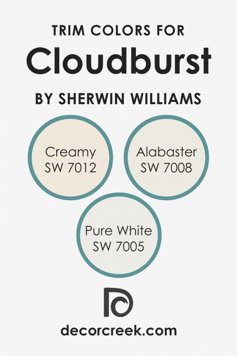Cloudburst SW 6487 Paint Color by Sherwin-Williams - DecorCreek