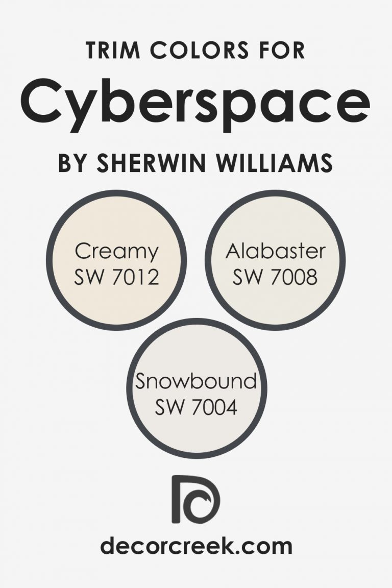 Cyberspace SW 7076 Paint Color by Sherwin-Williams