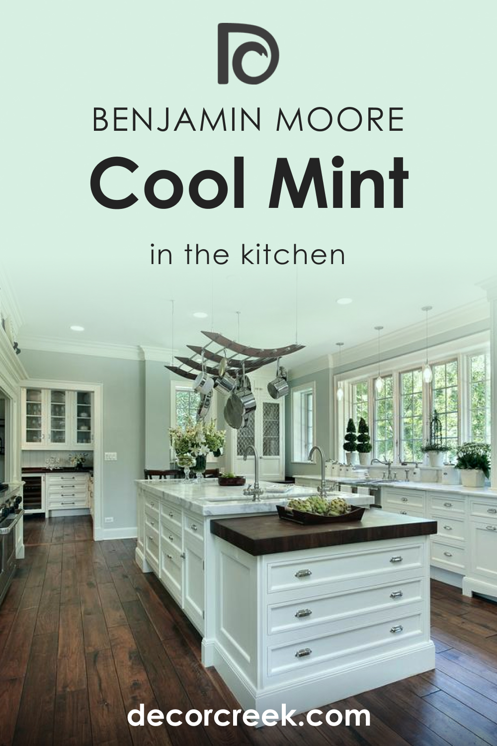How to Use Cool Mint 582 in the Kitchen?