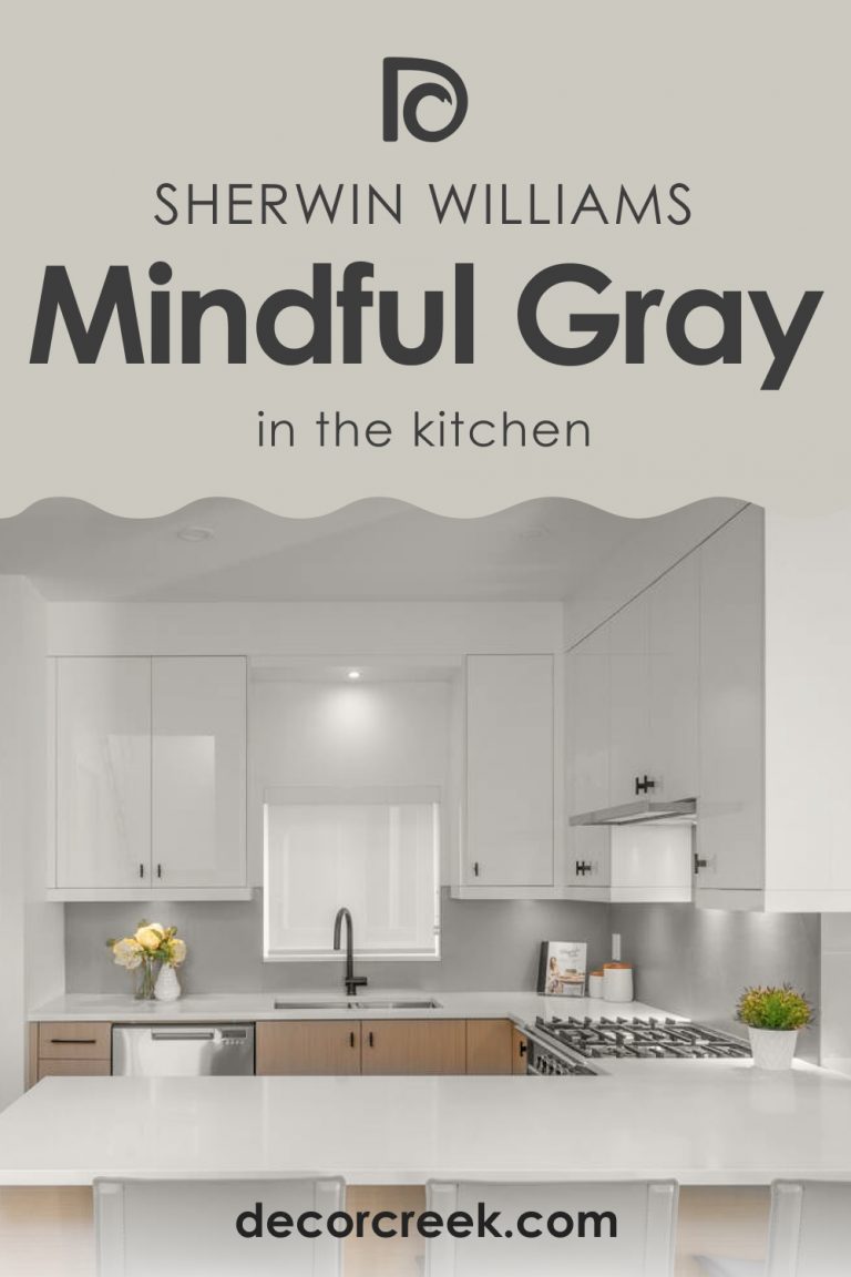 Mindful Gray SW 7016 Paint Color by Sherwin Williams