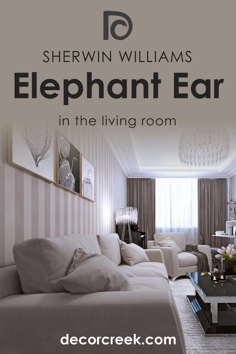 How to Use SW 9168 Elephant Ear in the Living Room?