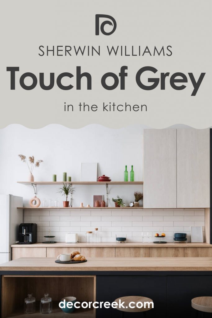 Touch of Grey SW 9549 Paint Color by Sherwin-Williams