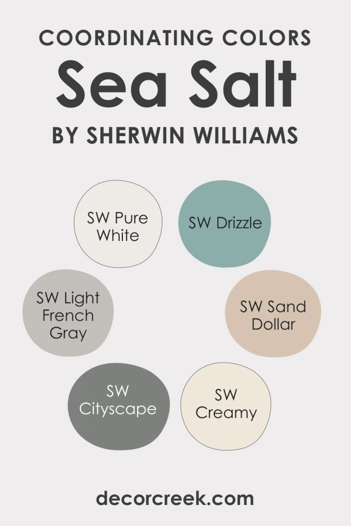 Sea Salt SW 6204 Paint Color by Sherwin-Williams - DecorCreek