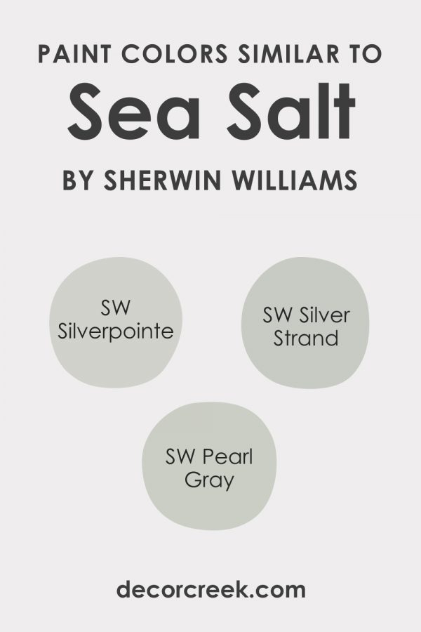 Sea Salt SW 6204 Paint Color by Sherwin-Williams - DecorCreek