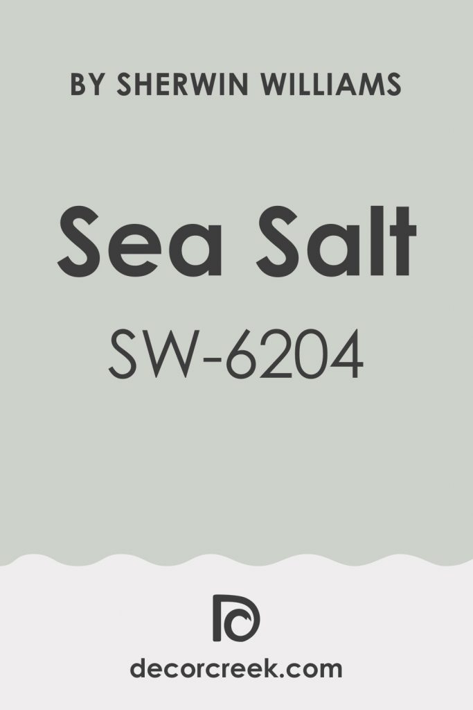 Sea Salt SW 6204 Paint Color by Sherwin-Williams - DecorCreek