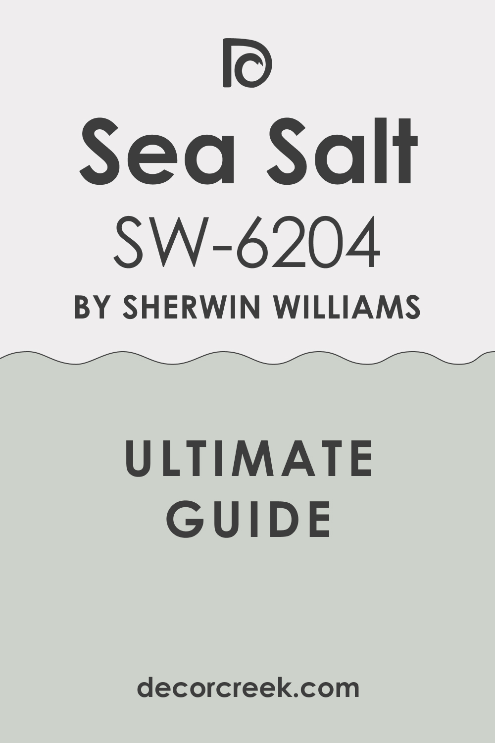 Ultimate Guide. Sea Salt SW 6204 Paint Color by Sherwin-Williams