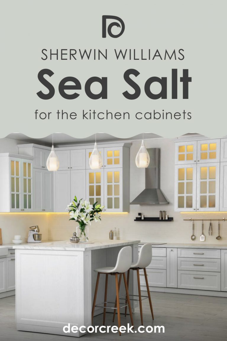 Sea Salt SW 6204 Paint Color by Sherwin-Williams - DecorCreek