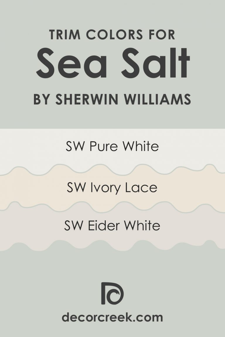 Sea Salt SW 6204 Paint Color by Sherwin-Williams - DecorCreek