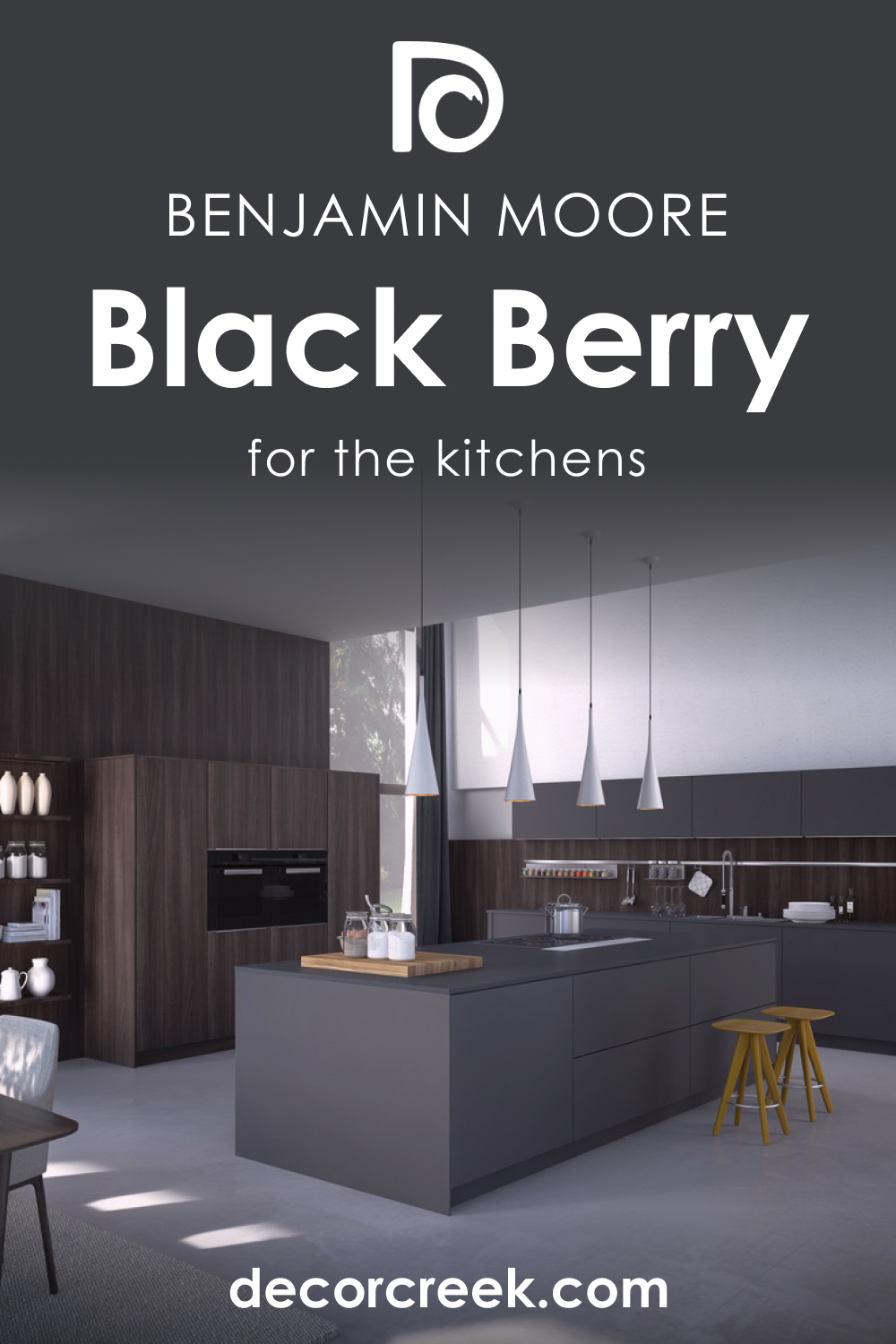 How to Use Black Berry 2119-20 in the Kitchen?