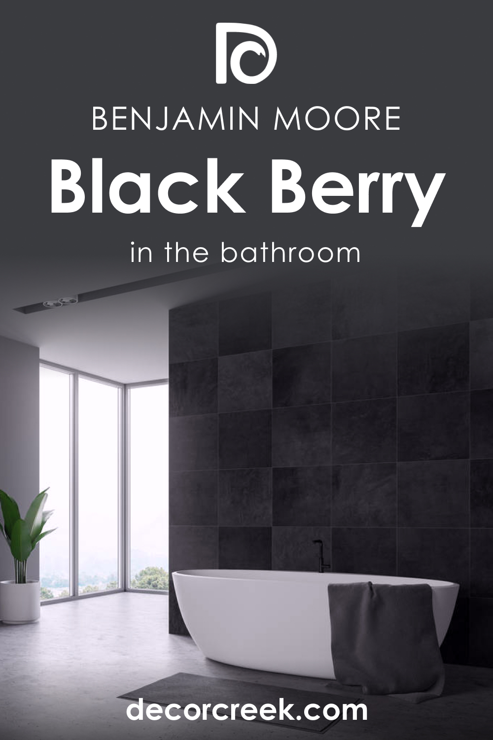 How to Use Black Berry 2119-20 in the Bathroom?