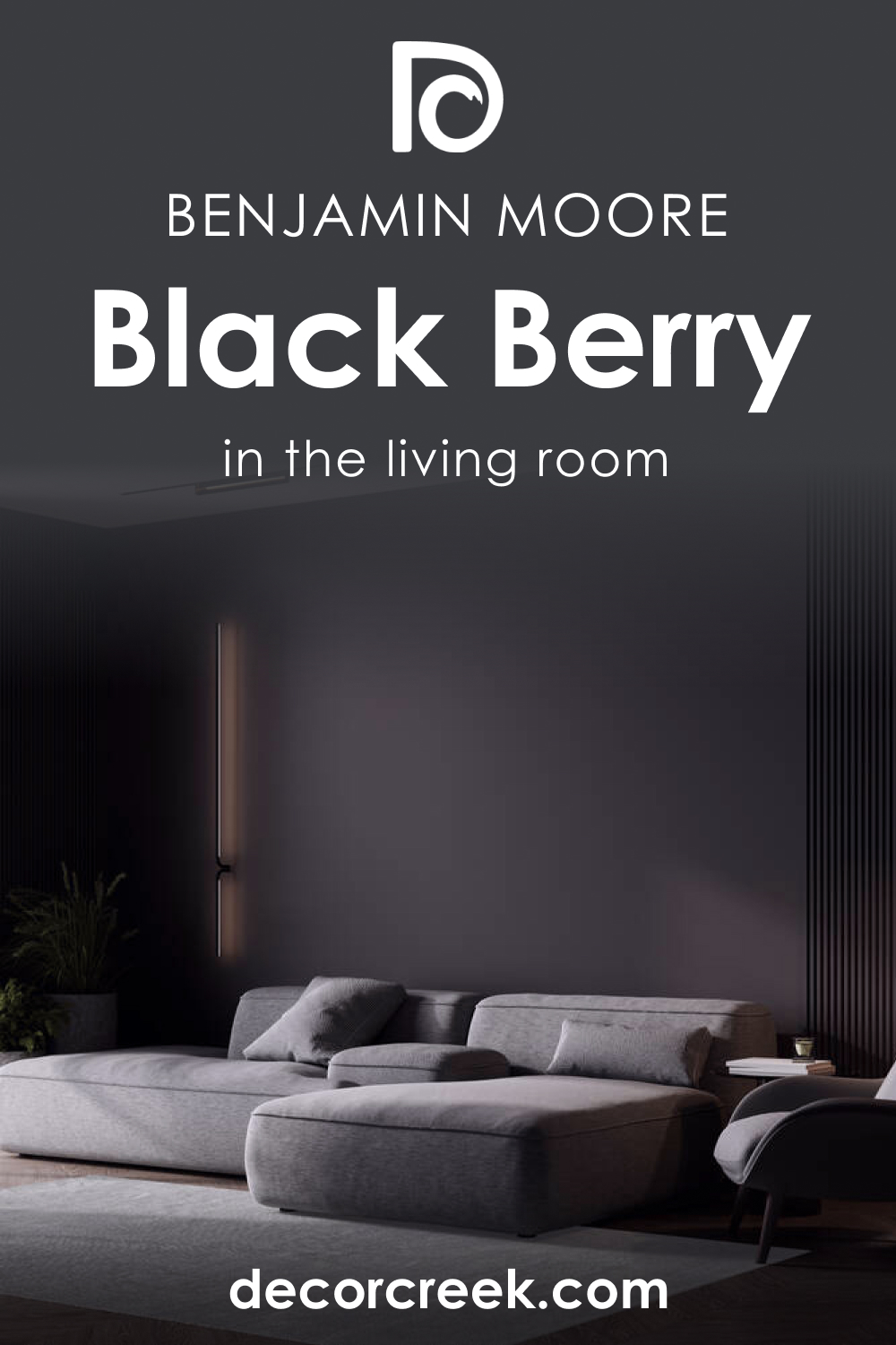 How to Use Black Berry 2119-20 in the Living Room?