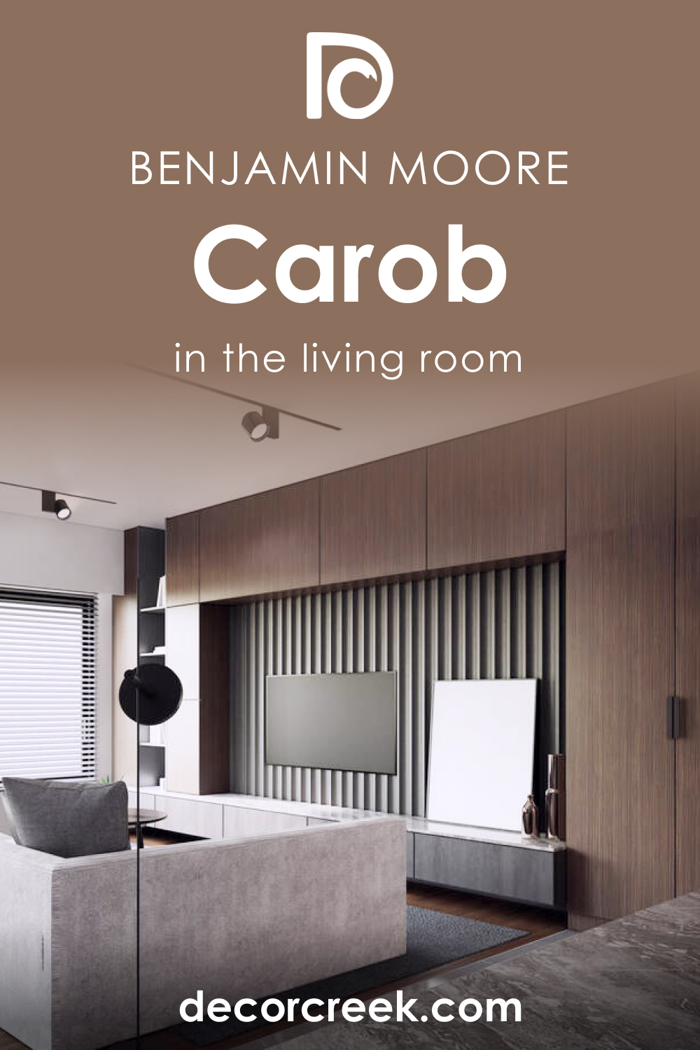 How to Use Carob AF-160 in the Living Room?