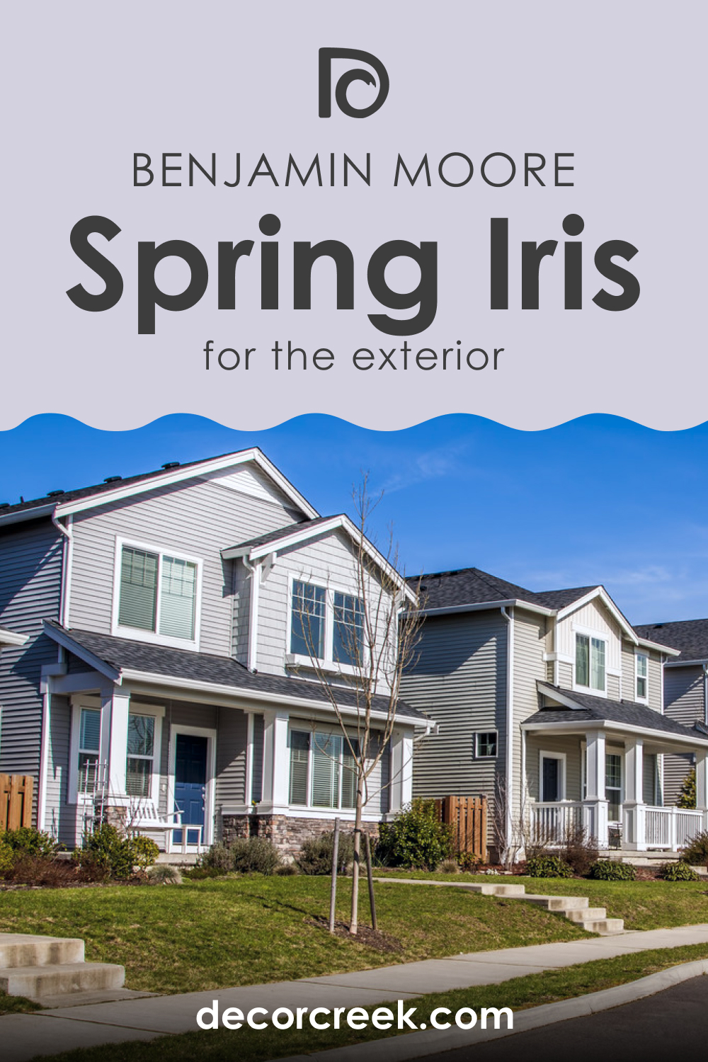 How to Use Spring Iris 1402 for an Exterior?