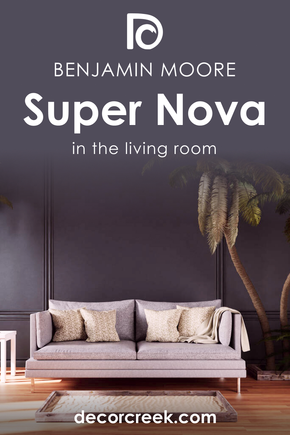 How to Use Super Nova 1414 in the Living Room?