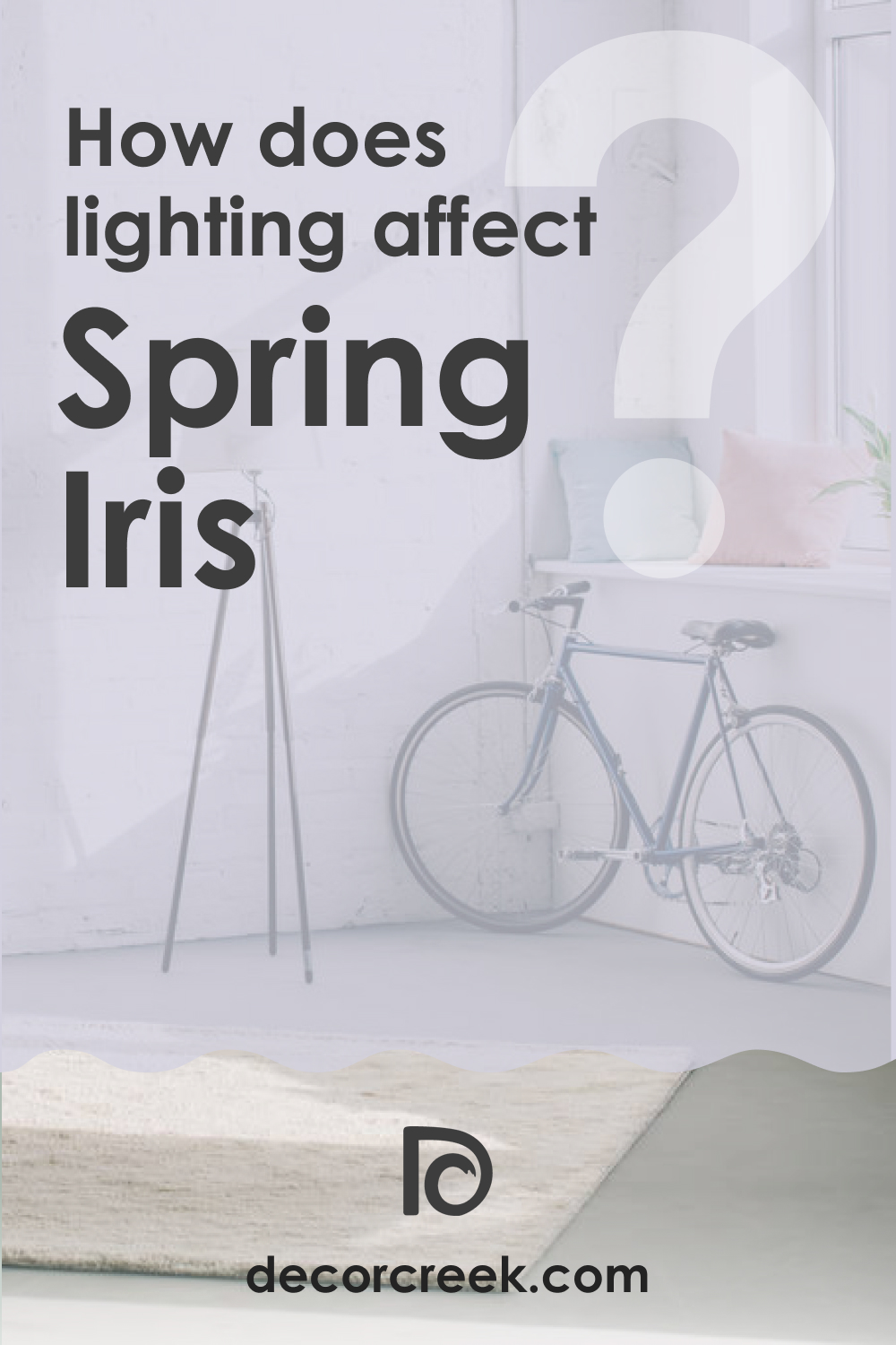 How Does Lighting Affect Spring Iris 1402?